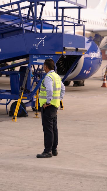 Customs inspection and import permits clearance