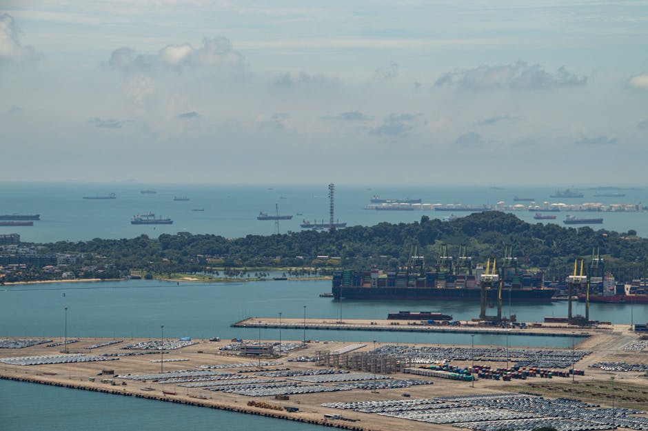 Singapore IMDA Dealer License Guide 2026