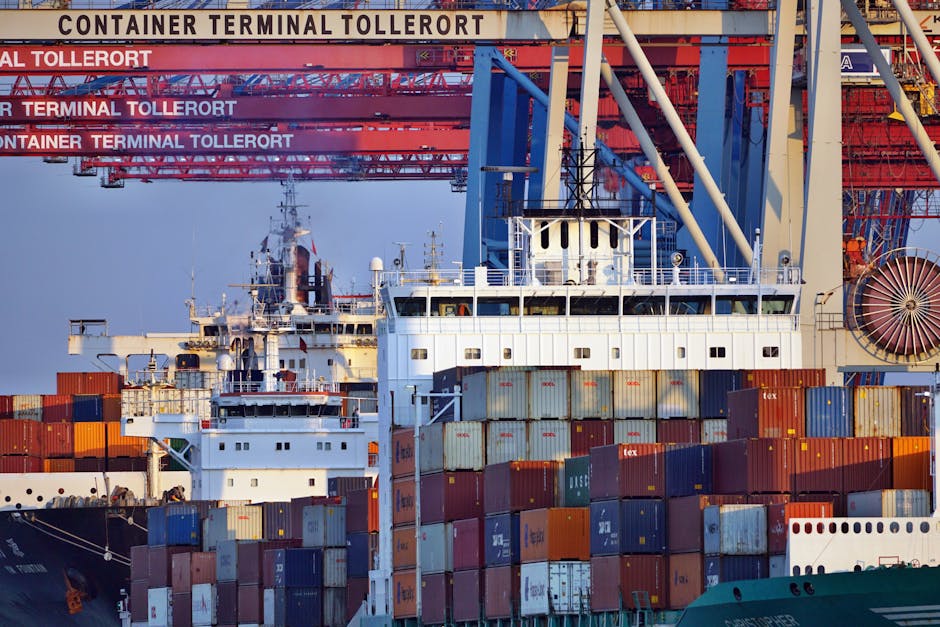 UAE TDRA Customs Guide