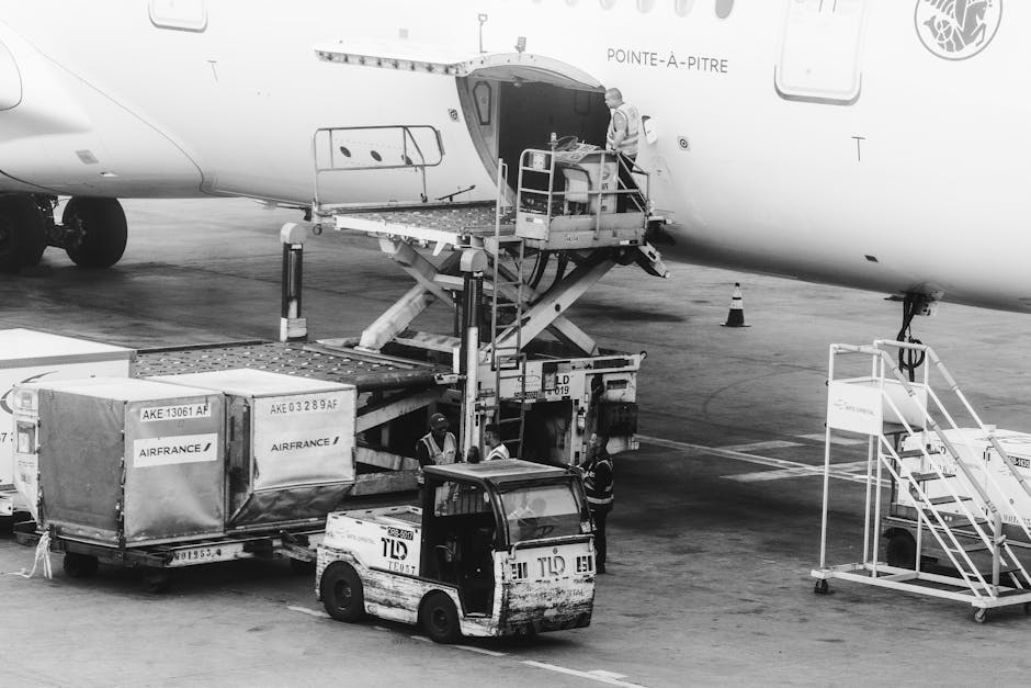 Air cargo arrival and customs release hold